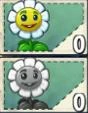 Marigold2seedslot