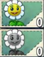 Marigold's seed packet with sun cost and Imitater version