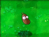 plants vs zombies coffee bean