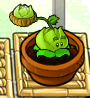 A medium-sized Cabbage-pult in Zen Garden