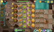 Level 14