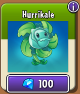 Hurrikale in the new store