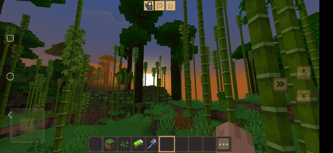 Woodland Kingdom