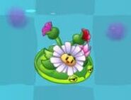 First stage on a Lily Pad