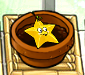 A small Starfruit in Zen Garden