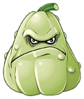 Squash HD