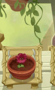 Meteor Flower being watered in the Zen Garden