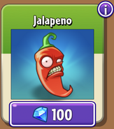 Jalapeno in the store (9.7.1)