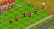 Beet during development of the game