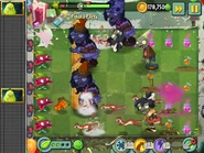A Squash Piñata Party on May 11