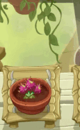 Dragon Bruit being watered in the Zen Garden (animated)