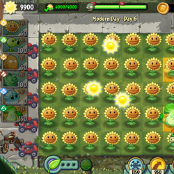 Sunflower (Plants vs. Zombies Adventures), Plants vs. Zombies Wiki