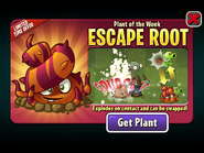 Escape Root featured as Plant of the Week