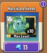 Hurrikale's seeds in the store (9.7.1, Special)