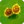 Twin SunflowerA
