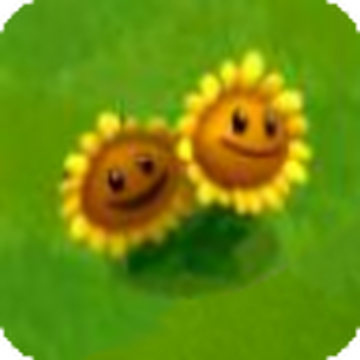 Sunflower, Plants vs. Zombies Wiki