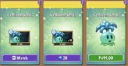 Ice Bloom's seeds in the store (10.2.1, Promoted, Before)