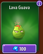 Lava Guava in the store (10.9.1)