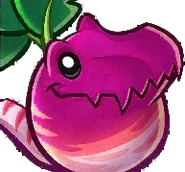 Veloci-Radish Packmate's card image