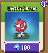 Electric Currant in the store (9.7.1)