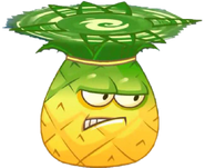 HD old design Pineapple