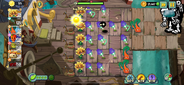Level 7