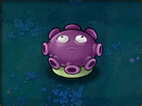 Gloom-shroom (PvZ)