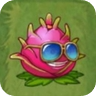 Dragonfruit (blue square glasses)