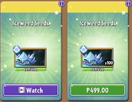 Iceweed's seeds in the store (10.2.1, Promoted)