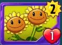 Twin Sunflower's card