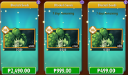 Blockoli's seeds in the store (10.9.1, Promoted)