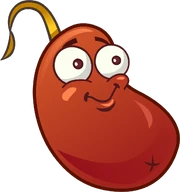 Chili Bean HD-