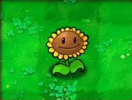 what is the best sun producing plant in plants zombies 2