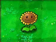 Sunflower Fsjal (Plants vs Zombies)