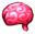 Brain