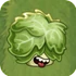 Headbutter Lettuce2C