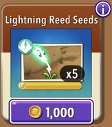 Lightning Reed's seeds in the store (10.6.2)