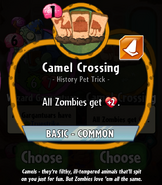 Camel Crossing's statistics