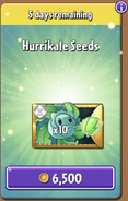 Hurrikale's seeds in the store (Promoted)