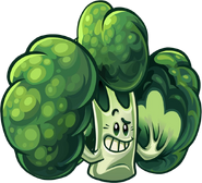 Blockoli