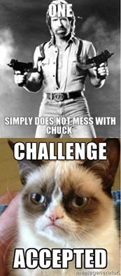 Chuck vs. Grumpy.jpg