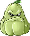 Squash-hd.png