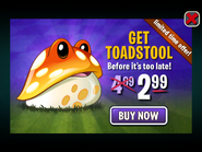 A limited time offer for Toadstool