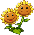 Twin Sunflower (PvZH).png