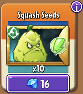 Squash's seeds in the store (Special)