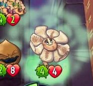 Evolved Cro-Magnolia Fused with Lily Pad