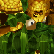 Kernel Corn's textures