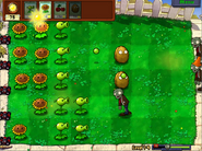 PlantsVsZombies52