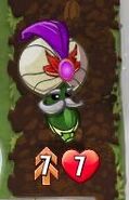 The Great Zucchini with the Double Strike trait due to Coffee Grounds' ability