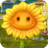 SunflowerGW1